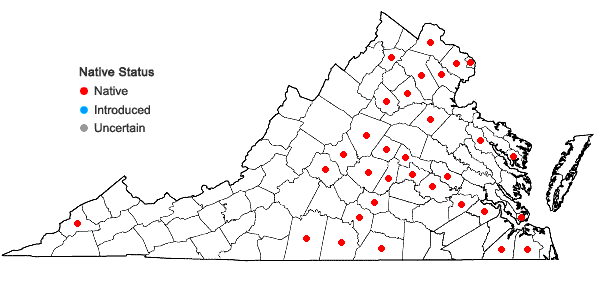 Locations ofAmmannia coccinea Rottb. in Virginia