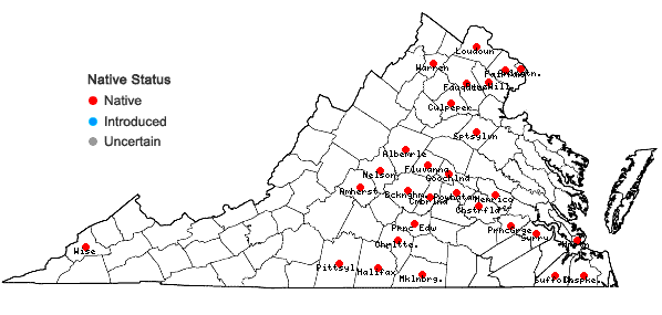 Locations ofAmmannia coccinea Rottb. in Virginia