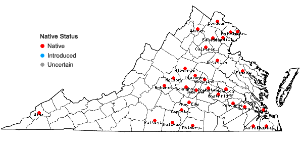 Locations ofAmmannia coccinea Rottb. in Virginia