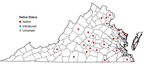 Locations ofAmorpha fruticosa L. in Virginia