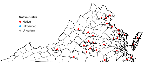 Locations ofAmorpha fruticosa L. in Virginia