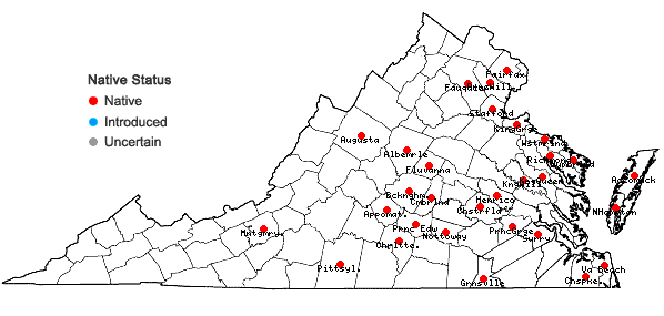 Locations ofAmorpha fruticosa L. in Virginia
