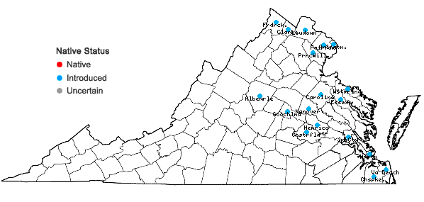 Locations ofAmpelopsis glandulosa (Wallr.) Momiy. in Virginia