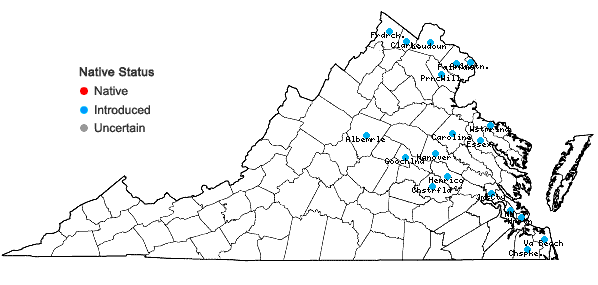 Locations ofAmpelopsis glandulosa (Wallr.) Momiy. in Virginia