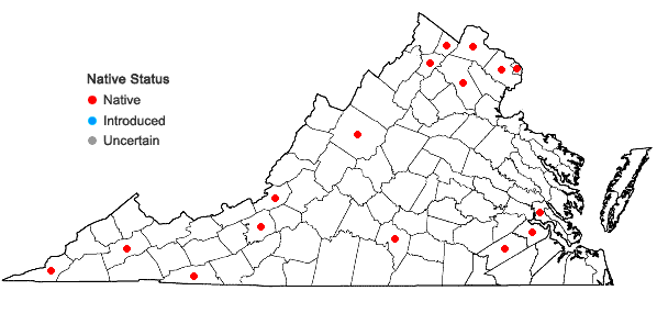 Locations ofAmphicarpaea bracteata (L.) Fern. var. comosa Fassett in Virginia