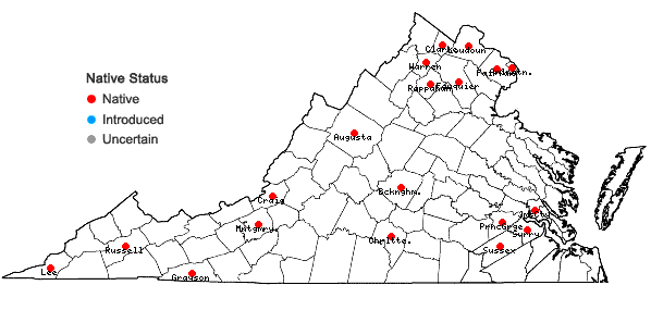 Locations ofAmphicarpaea bracteata (L.) Fern. var. comosa Fassett in Virginia