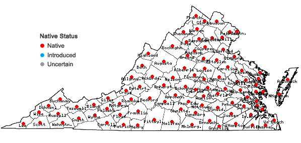 Locations ofAmphicarpaea bracteata (L.) Fern. var. bracteata in Virginia