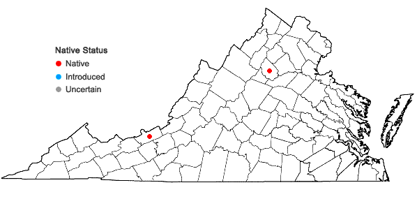 Locations ofAmphidium lapponicum (Hedw.) Schimp. in Virginia