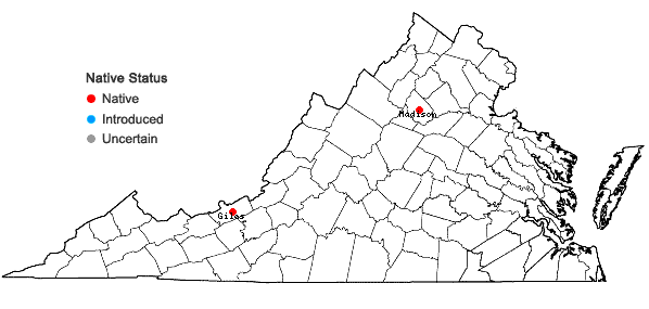 Locations ofAmphidium lapponicum (Hedw.) Schimp. in Virginia