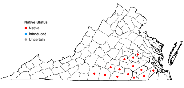 Locations ofAmsonia tabernaemontana Walt. in Virginia