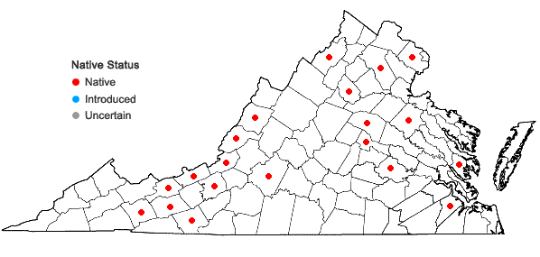 Locations ofAnacamptodon splachnoides (Froel. ex Brid.) Brid. in Virginia