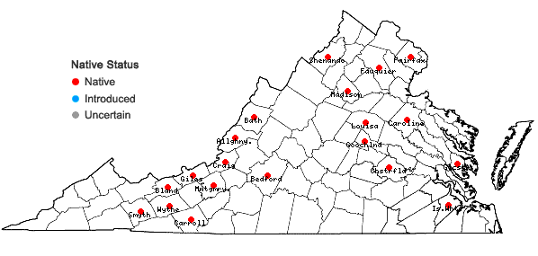 Locations ofAnacamptodon splachnoides (Froel. ex Brid.) Brid. in Virginia