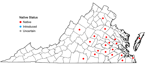 Locations ofAnatherum campbellii (U.B. Deshmukh, M.B. Shende, & E.S. Reddy) E.L. Bridges & Orzell in Virginia
