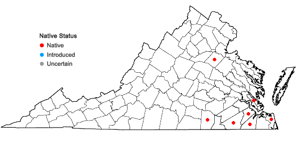Locations ofAnatherum cretaceum (Weakley & Schori) Weakley & Schori in Virginia
