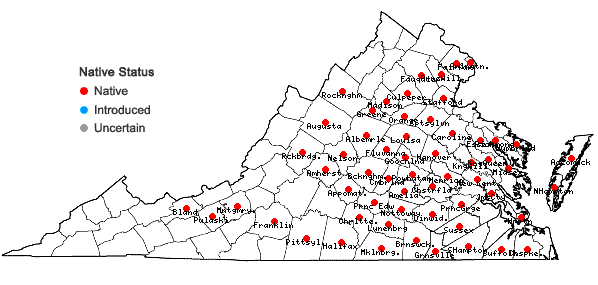 Locations ofAnatherum gyrans (Ashe) Vorontsova & E.A. Kellogg in Virginia