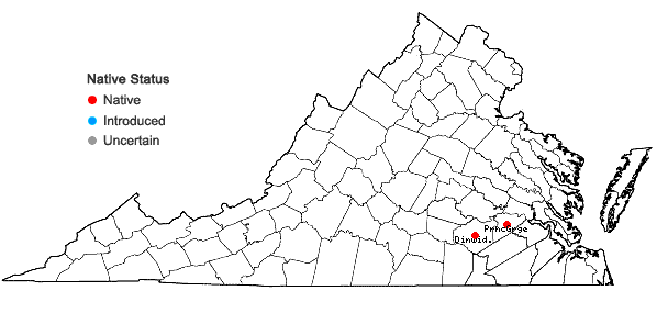 Locations ofAnatherum mohrii (Hackel) Vorontsova & E.A. Kellogg in Virginia