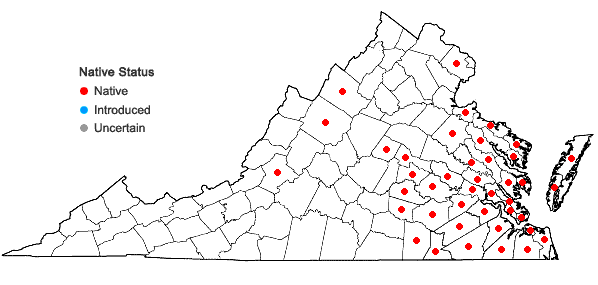 Locations ofAnchistea virginica (L.) Presl in Virginia