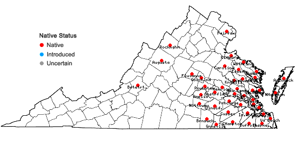 Locations ofAnchistea virginica (L.) Presl in Virginia