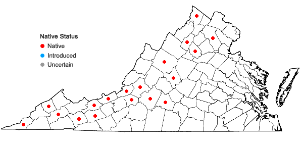 Locations ofAndreaea rothii F. Weber & D. Mohr in Virginia
