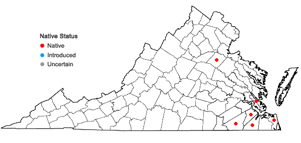 Locations ofAndropogon cretaceus Weakley & Schori in Virginia