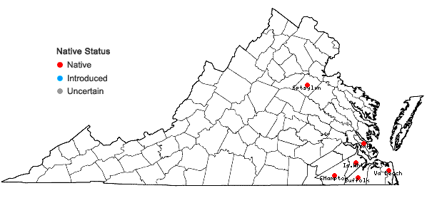 Locations ofAndropogon cretaceus Weakley & Schori in Virginia