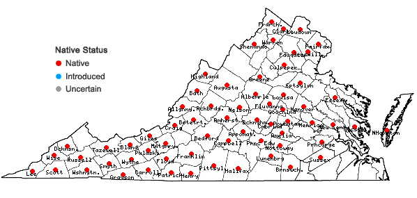 Locations ofAndropogon gerardii Vitman in Virginia