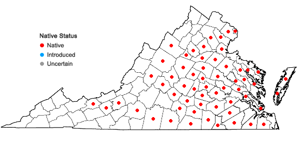 Locations ofAndropogon gyrans Ashe in Virginia