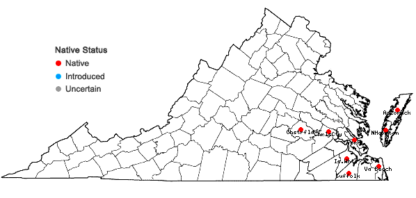 Locations ofAndropogon hirsutior (Hackel) Weakley & LeBlond in Virginia