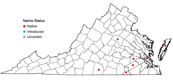 Locations ofAndropogon perangustatus Nash in Virginia