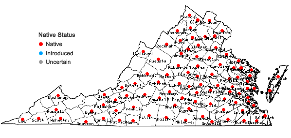 Locations ofAndropogon virginicus L. in Virginia