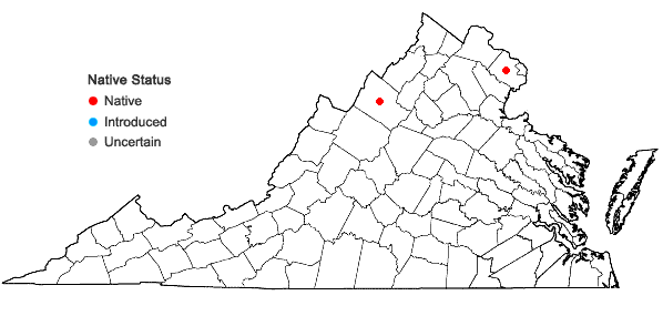 Locations ofAnemonastrum canadense (L.) Mosyakin in Virginia