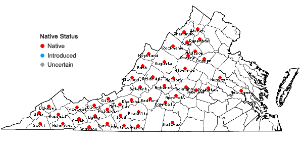 Locations ofAnemone lancifolia Pursh in Virginia