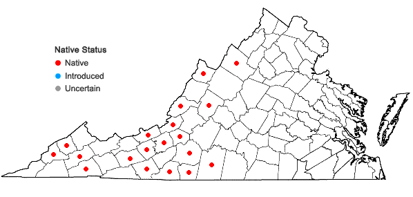 Locations ofAnemone quinquefolia L. var. minima (DC.) Frodin in Virginia