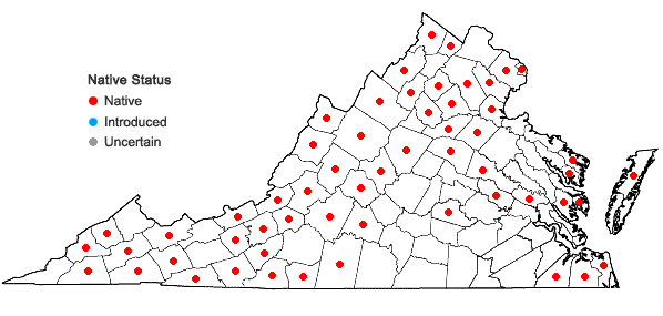 Locations ofAnemone quinquefolia L. var. quinquefolia in Virginia