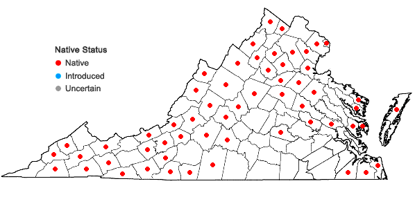 Locations ofAnemone quinquefolia L. var. quinquefolia in Virginia