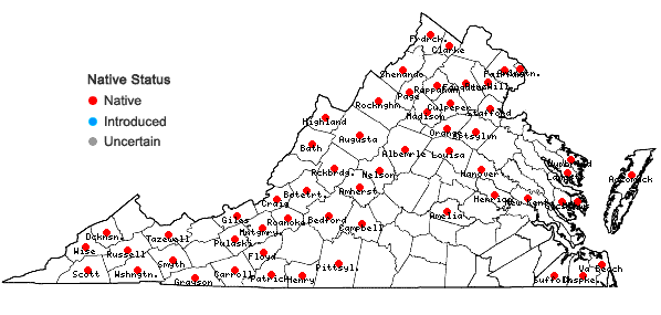 Locations ofAnemone quinquefolia L. var. quinquefolia in Virginia