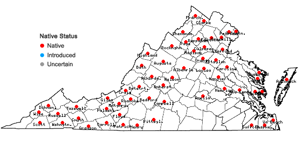 Locations ofAnemone quinquefolia L. var. quinquefolia in Virginia