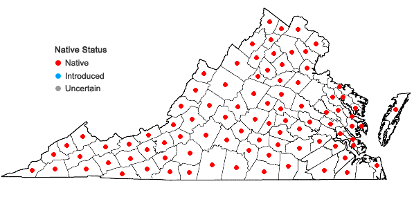 Locations ofAnemone virginiana L. var. virginiana in Virginia