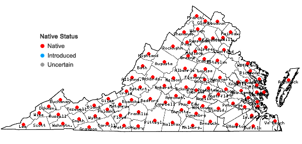 Locations ofAnemone virginiana L. var. virginiana in Virginia