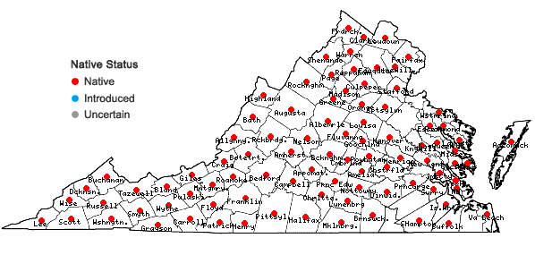 Locations ofAnemone virginiana L. var. virginiana in Virginia