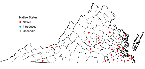 Locations ofAneura pinguis (L.) Dumort. var. pinguis in Virginia