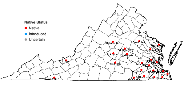 Locations ofAneura pinguis (L.) Dumort. var. pinguis in Virginia