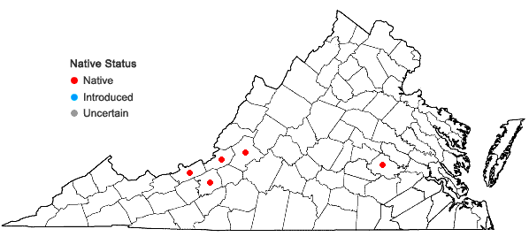 Locations ofAneura sharpii Inoue & N.G. Mill. in Virginia