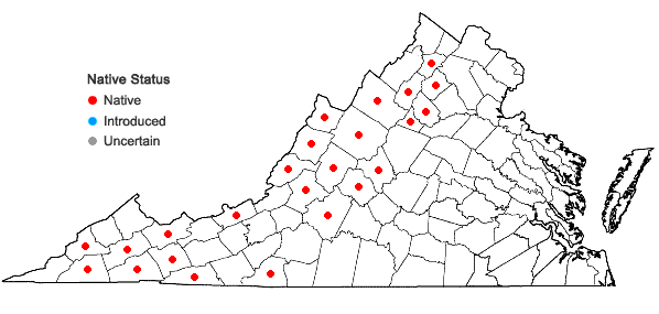 Locations ofAngelica triquinata Michx. in Virginia