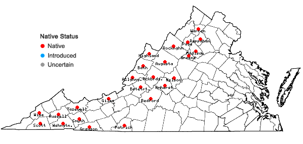 Locations ofAngelica triquinata Michx. in Virginia