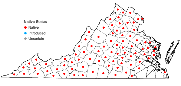 Locations ofAngelica venenosa (Greenway) Fern. in Virginia