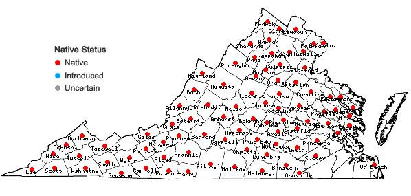 Locations ofAngelica venenosa (Greenway) Fern. in Virginia