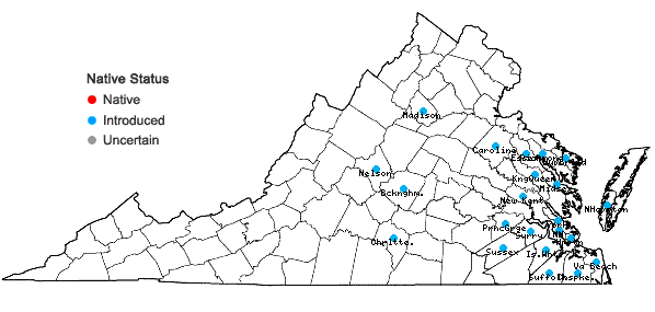 Locations ofAnoda cristata (L.) Schlecht. in Virginia