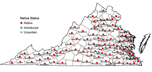 Locations ofAnomodon attenuatus (Hedwig) Huebener in Virginia