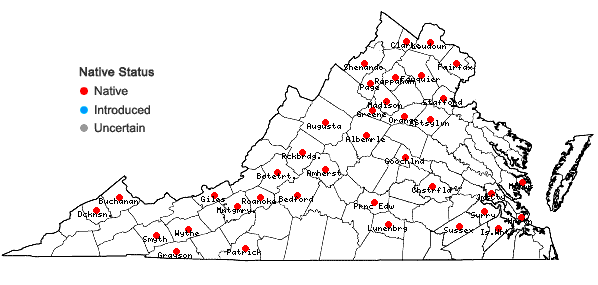 Locations ofAnomodon minor (Hedwig) Lindberg in Virginia